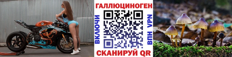 mega маркетплейс  наркошоп  Харовск  Галлюциногенные грибы Magic Shrooms 