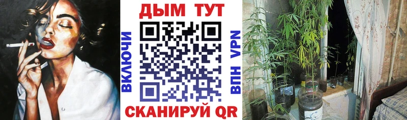 магазин продажи   Харовск  Шишки марихуана индика 